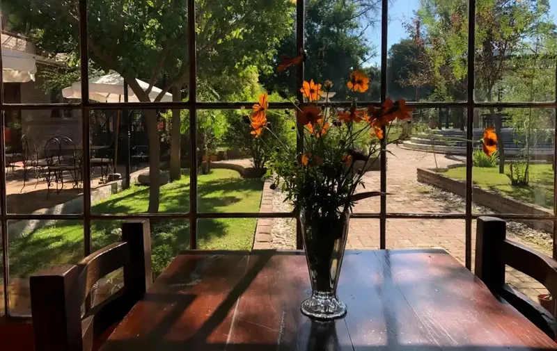 Salón junto a la ventana